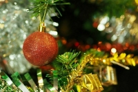 Путин исполнил мечту мальчика попробовать себя в роли сотрудника ДПС