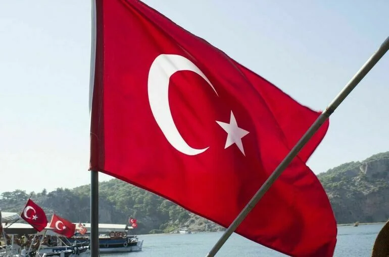 Hürriyet: Еще один упавший неопознанный беспилотник обнаружили в Турции