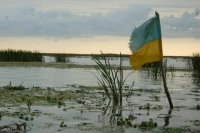 СВР: Украинские чиновники после падения режима хотят сбежать за границу