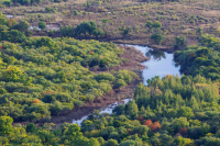 Совфед пригласил главу Рослесхоза на «правчас» 28 января