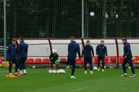 В России закрепят понятие «командный игровой вид спорта»