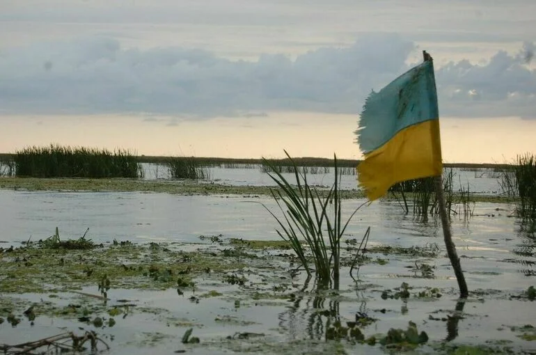 ТАСС: ВСУ из-за потерь отводят войска вглубь Сумской области