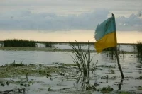 ТАСС: ВСУ из-за потерь отводят войска вглубь Сумской области
