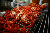 В Мурманской области пресекли незаконную торговлю крабами