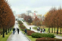 Ученые назвали 2025 год самым теплым в Москве за всю историю