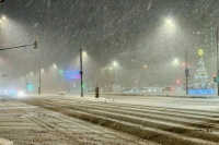 В Москве и Подмосковье выпадет до 4 см снега