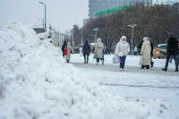 В Москве объявили желтый уровень погодной опасности из-за ветра и метели