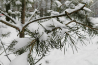 В Апшеронском районе Кубани из-за непогоды ввели режим ЧС