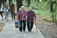 В регионах появятся горячие линии для помощи пенсионерам 