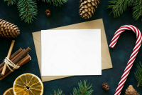 Более 70 тысяч открыток отправили участники «Новогодней почты» «Петербургского дневника»