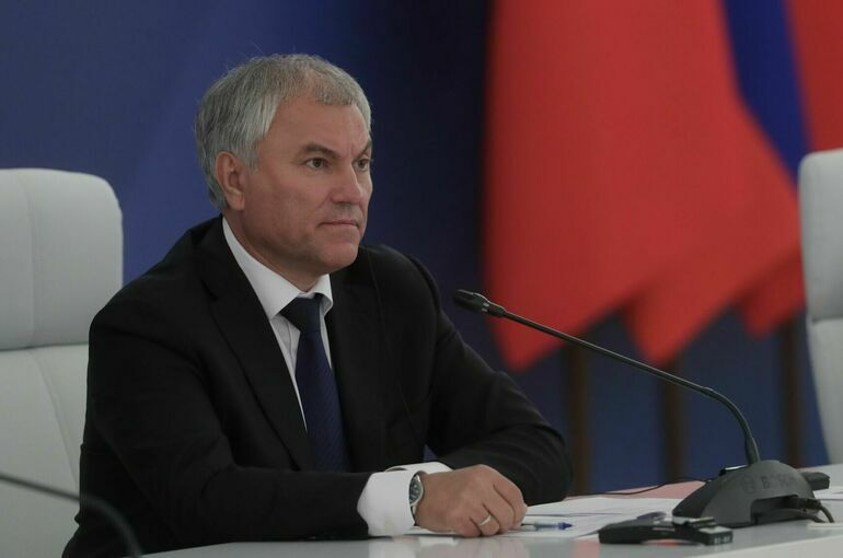 Володин: Госдума 13 января рассмотрит законопроект о повышении доступности лекарств