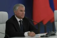 Володин: Госдума 13 января рассмотрит законопроект о повышении доступности лекарств