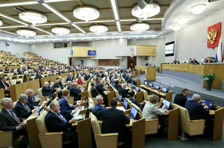 В Госдуме в весеннюю сессию пройдут три «правительственных часа»