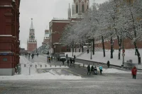Bloomberg: Уиткофф и Кушнер могут скоро приехать в Москву