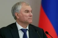 Володин призвал мобилизовать ресурсы для уборки снега в Саратове
