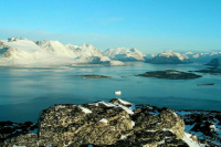 Политолог объяснил, почему США не отступятся от Гренландии