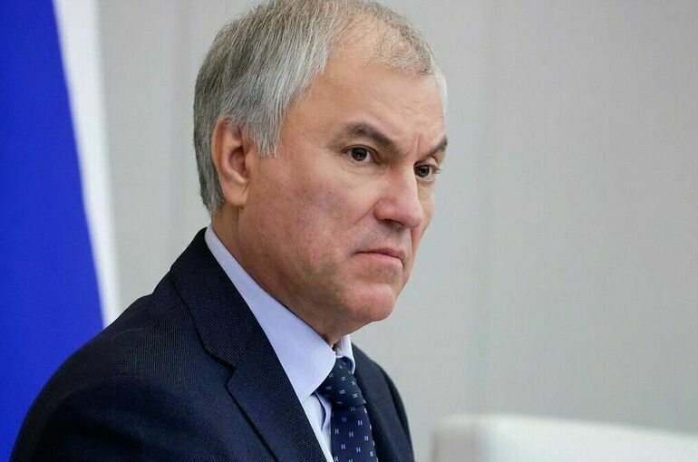 Володин: Законопроекты о совершенствовании миграционной политики рассмотрим приоритетно