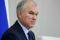 Володин: Законопроекты о совершенствовании миграционной политики рассмотрим приоритетно