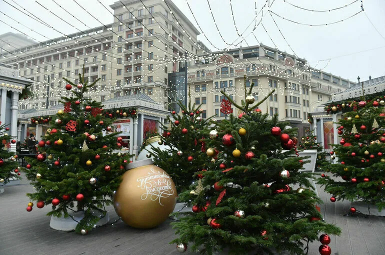 Как избавиться от новогодней елки
