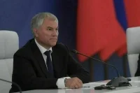 Володин: Госдума приоритетно рассмотрит законопроекты о защите граждан от кибермошенников