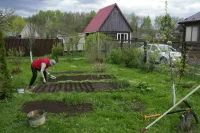 В России планируют упростить оформление прав на общее имущество СНТ