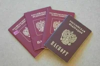 Волонтеров СВО хотят освободить от уплаты госпошлины при восстановлении документов
