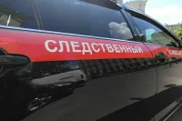 В Красноярске завели уголовное дело после похищения 14-летнего подростка