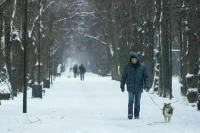 Синоптик: Январь 2026‑го в Москве может войти в топ‑10 самых холодных за XXI век