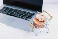 Россиянам напомнили о правилах безопасного онлайн-шопинга в период распродаж