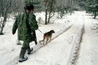 Комитет Госдумы одобрил штрафы за незаконную охоту на оленей до 50 тысяч рублей