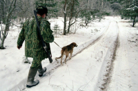 Незаконная охота на медведей обернется штрафами до 50 тысяч рублей