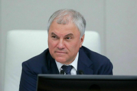 Володин: Госдума 28 января заслушает доклад уполномоченного по правам человека