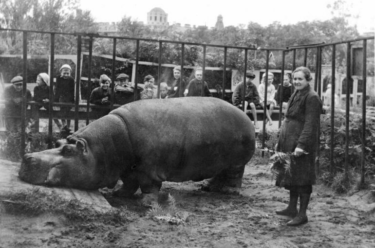 Как в блокаду ленинградцы сберегли зверей в зоопарке