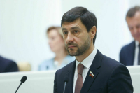 Сенатор Синицын возглавил Комитет Совфеда по социальной политике