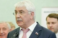 Депутат Чепа: Каллас допустила территориальные уступки Украины в угоду Трампу