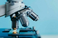 Клинические исследования новых ветпрепаратов предложили обязать проводить в РФ