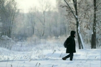 Морозы до -22 градусов накроют Москву до конца следующей недели