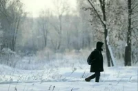 Морозы до -22 градусов накроют Москву до конца следующей недели