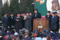 День сурка празднуется 2 февраля