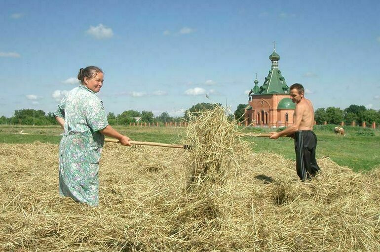 Депутаты Удмуртии предложили упростить назначение старост в селах