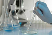 Роспотребнадзор расследует случай подозрения на оспу обезьян