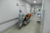 В Подмосковье госпитализировали второго зараженного «оспой обезьян»