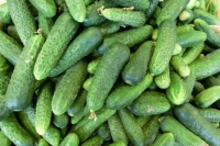 Огурцы с начала года подорожали почти на 43%