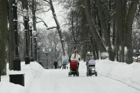 Морозы до -20 сохранятся в Москве и Подмосковье до следующих выходных