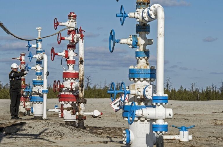 В Минприроды рассказали, сколько новых месторождений открыто в России в 2025 году