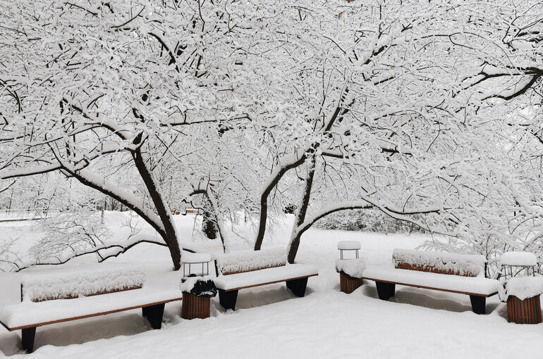 До 20% месячной нормы снега может выпасть в Москве 12 февраля