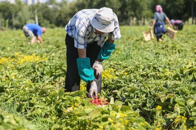 Аграриям станет проще учесть расходы на обучение специалистов