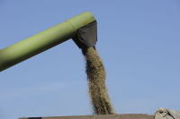 ФАС оштрафовала участников агрорынков на 2,6 млн рублей