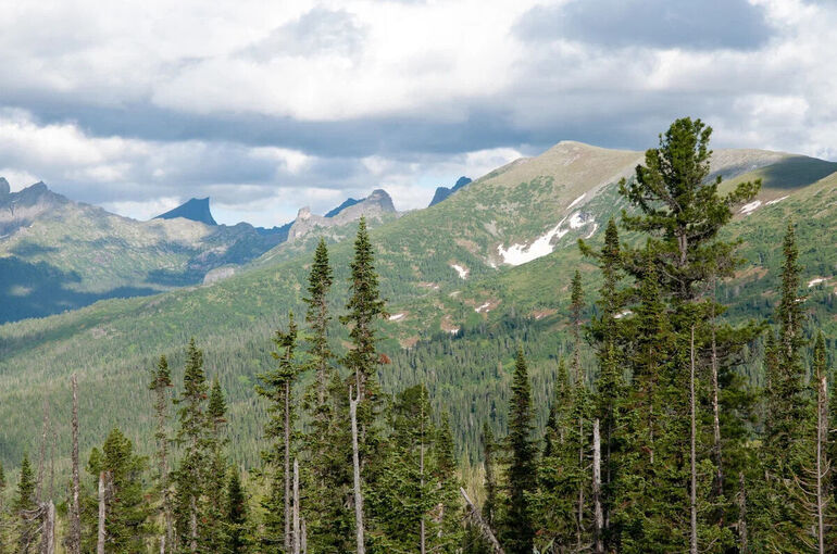 Инспекторам в особо охраняемых природных территориях Красноярского края предложили повысить зарплату