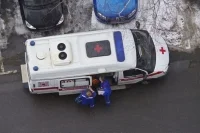В Подмосковье выросло число заболевших «оспой обезьян»